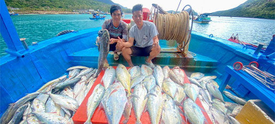 Trải nghiệm câu cá Côn Đảo