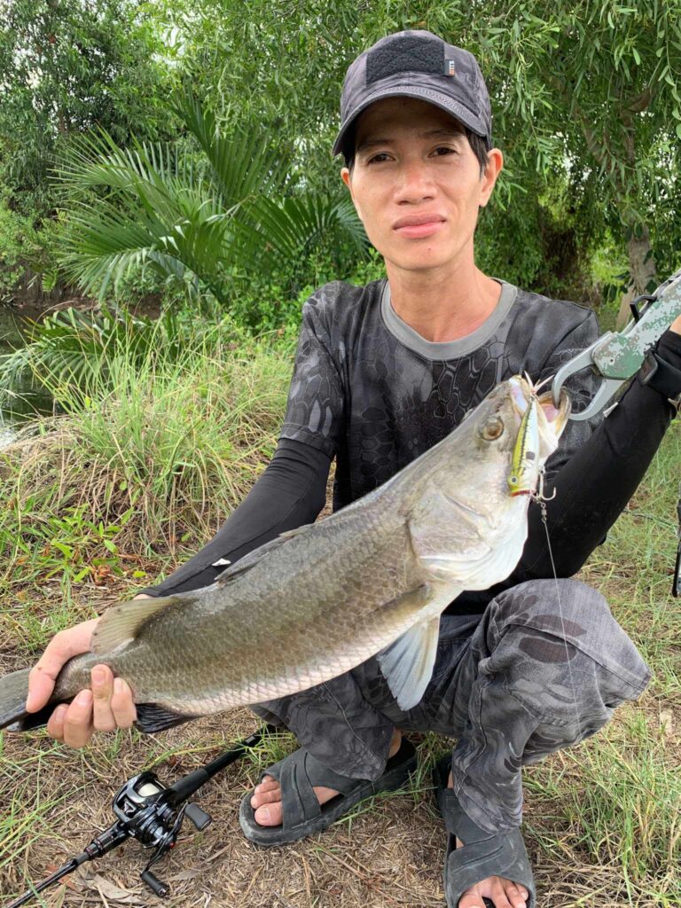 Sử dụng mồi giả strike pro để câu cá chẽm, câu lure cá chẽm