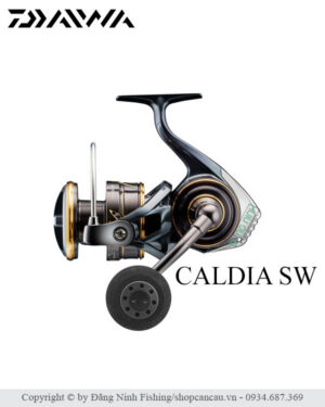 Máy câu Daiwa Caldia SW